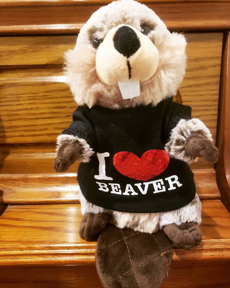 The adorable stuffed beaver